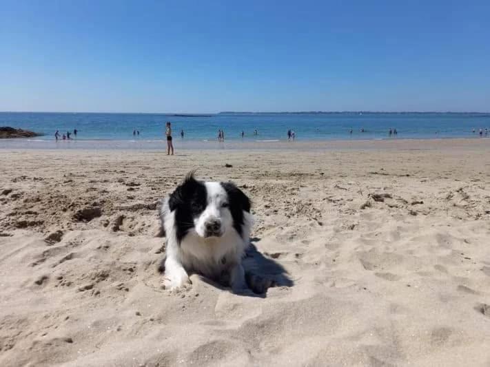 Vacances Face A La Mer! Guidel Zewnętrze zdjęcie